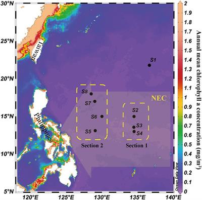 Microbial food webs share similar biogeographic patterns and driving mechanisms with depths in oligotrophic tropical western Pacific Ocean